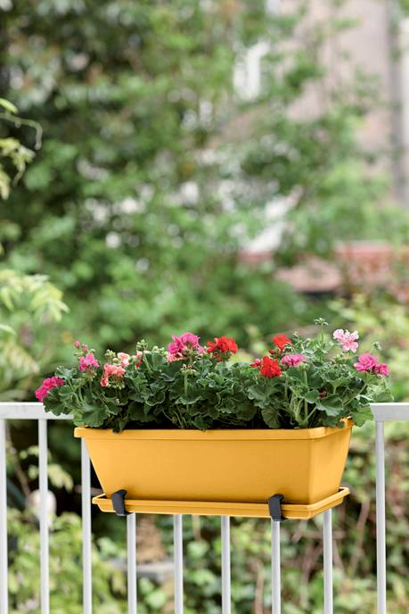 barcelona balkonbak 40cm honinggeel